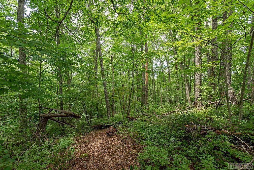 4 Parkview Ln Cullowhee, NC 28723 - Thumbnail 5