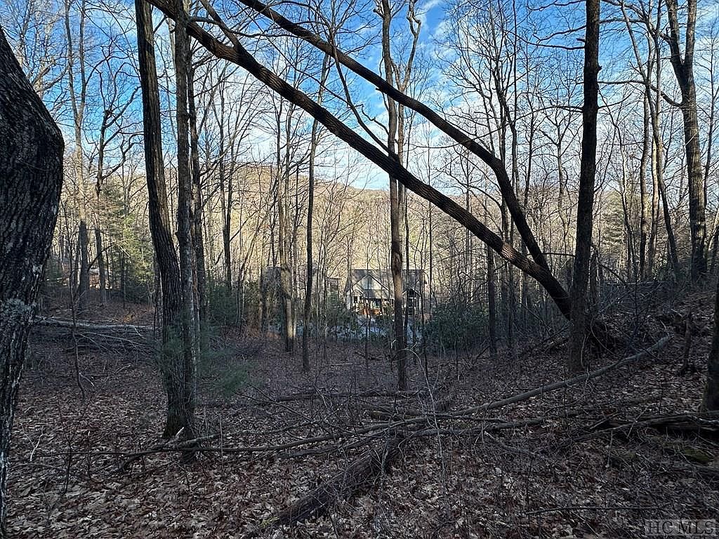 91 Bald Eagle Ct Sapphire, NC 28774 - Thumbnail 5