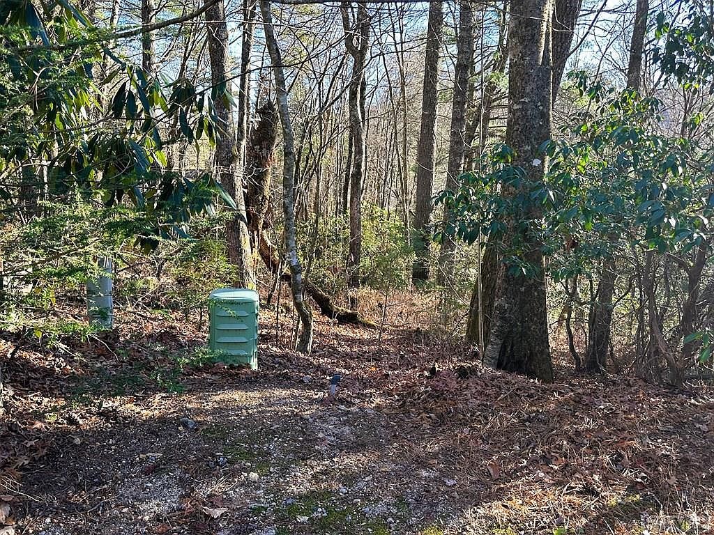 37 Alder Ct Sapphire, NC 28774 - Thumbnail 5