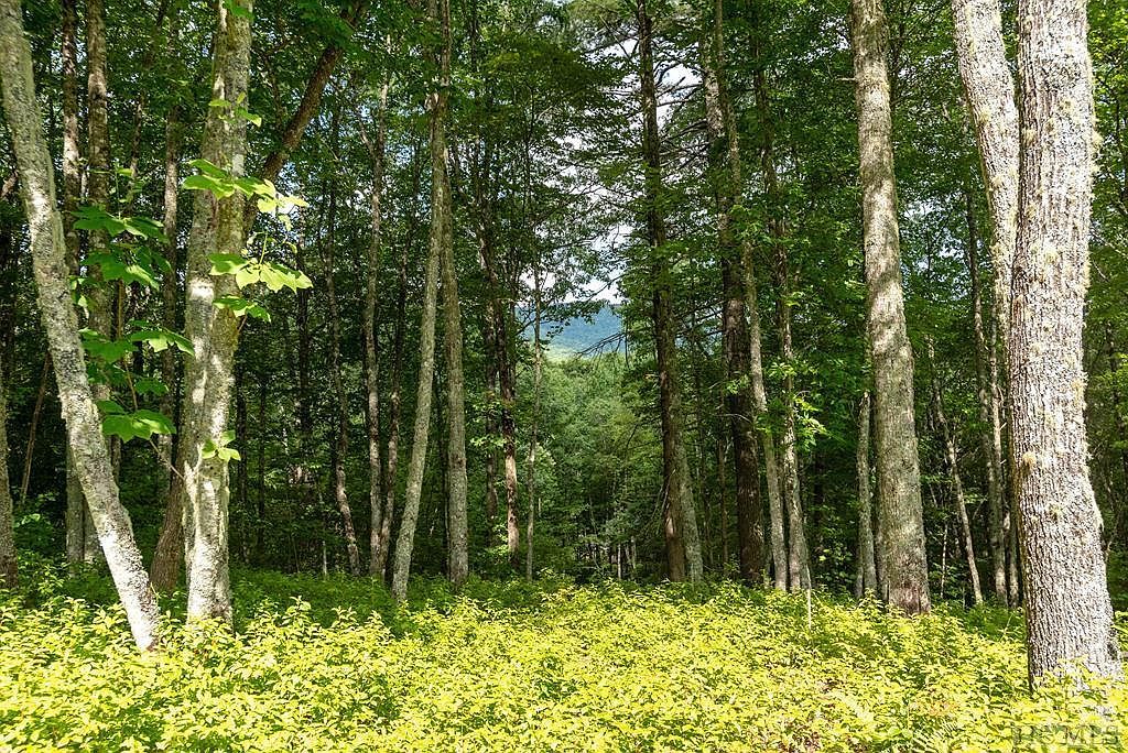 98 Blazing Star Dr Glenville, NC 28736 - Thumbnail 5