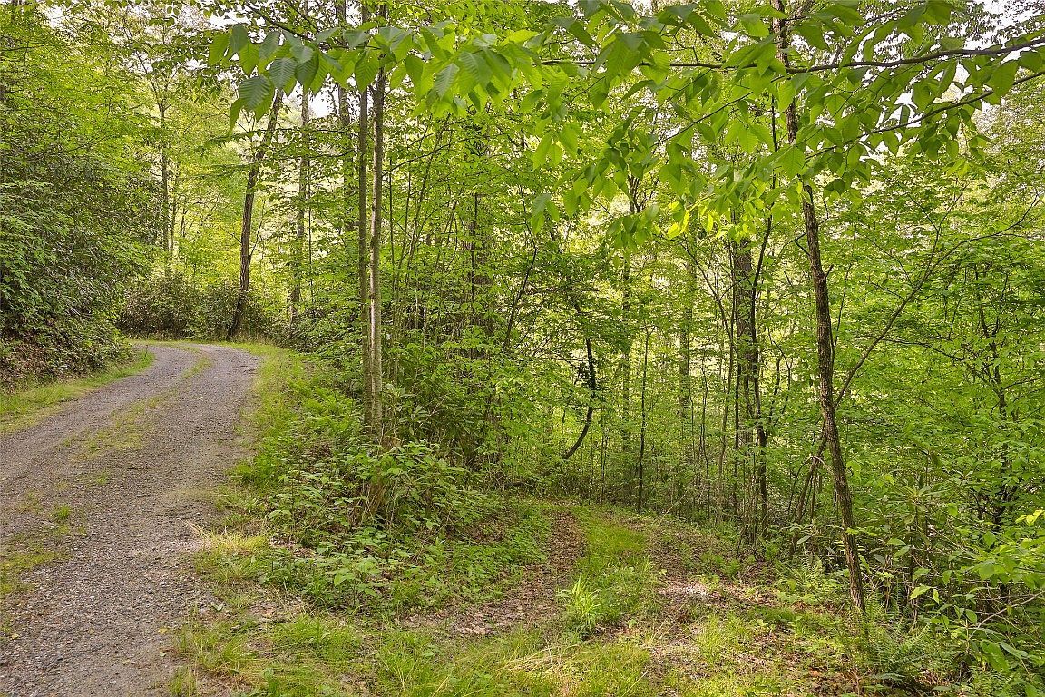 G110 Trimble Rdg Glenville, NC 28736 - Thumbnail 5