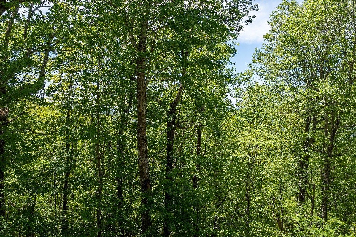 1R Yarak Dr Sapphire, NC 28774 - Thumbnail 5