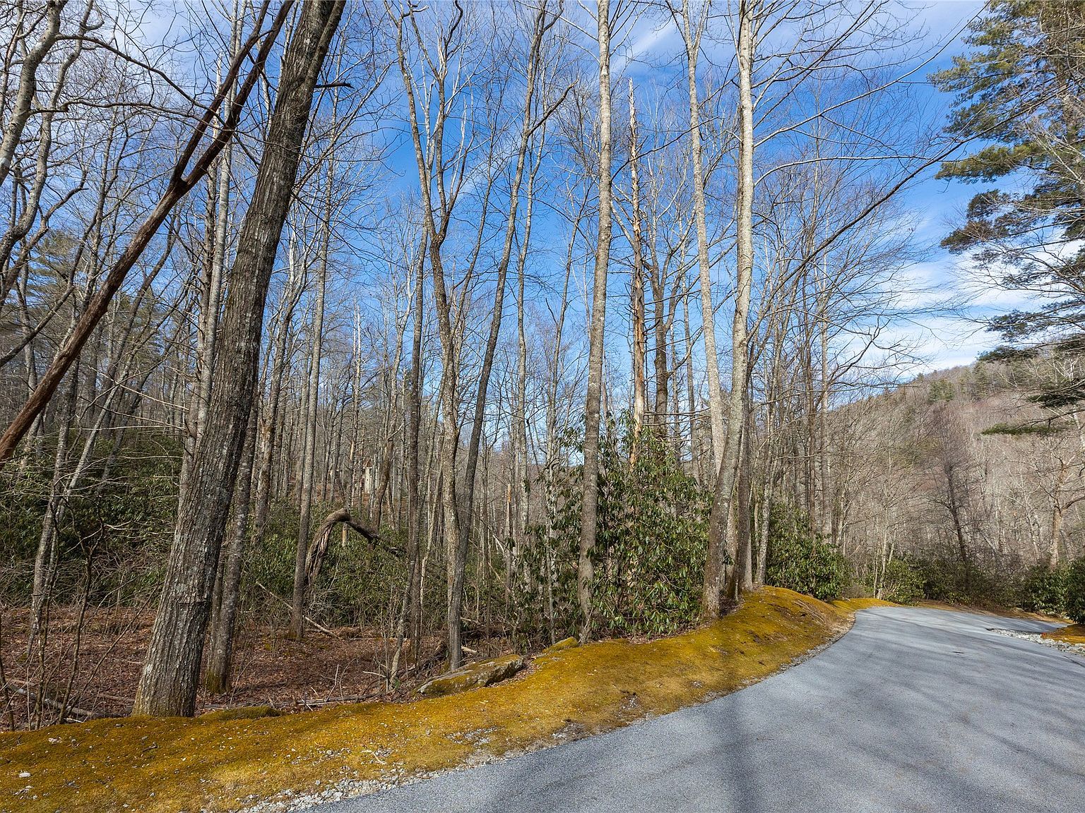 46 E Rochester Dr Cashiers, NC 28717 - Thumbnail 5