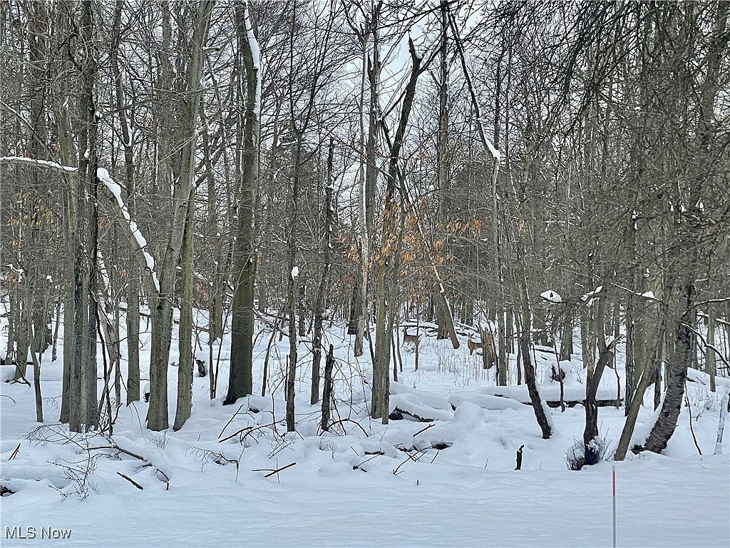 7791 Hoertz Rd, Parma, OH, 44134 - Thumbnail 5