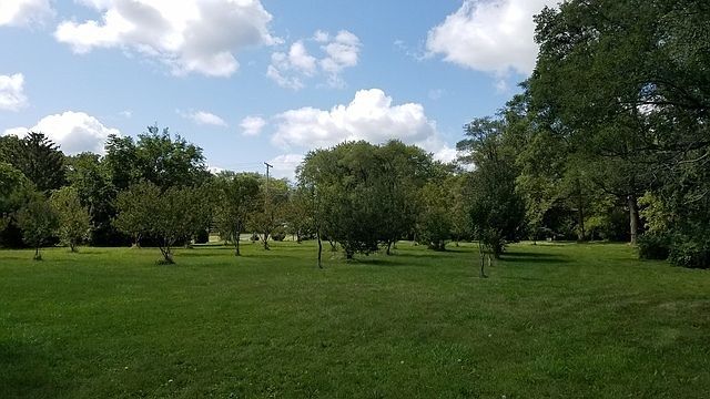 5548 W Heatherbrook Trl Monee, IL 60449 - Thumbnail 5