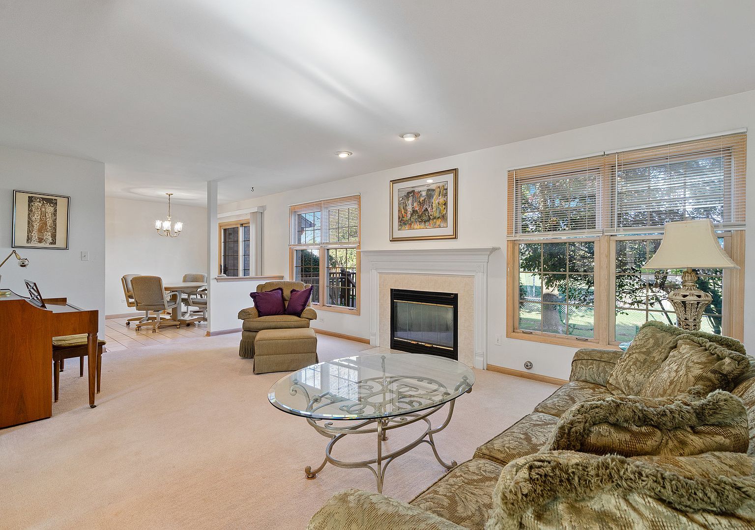 1078 Amber Dr Lemont, IL 60439 - Thumbnail 5