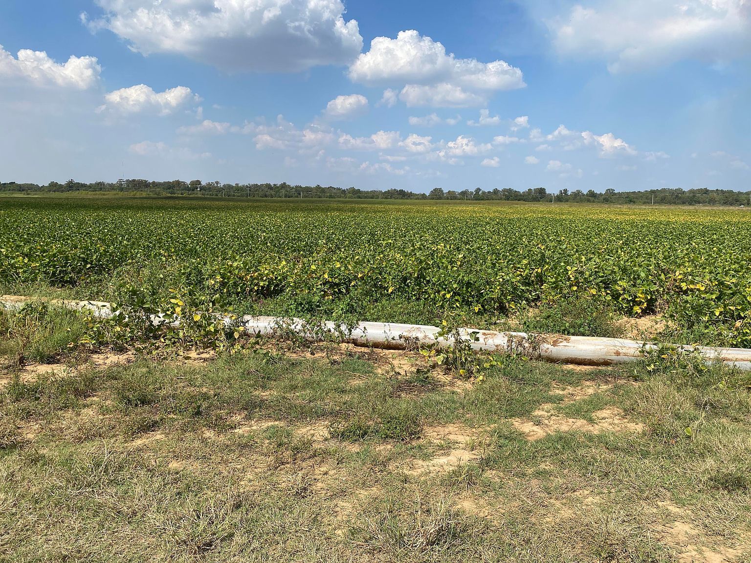 Highway 165 Humnoke, AR 72072 - Thumbnail 5