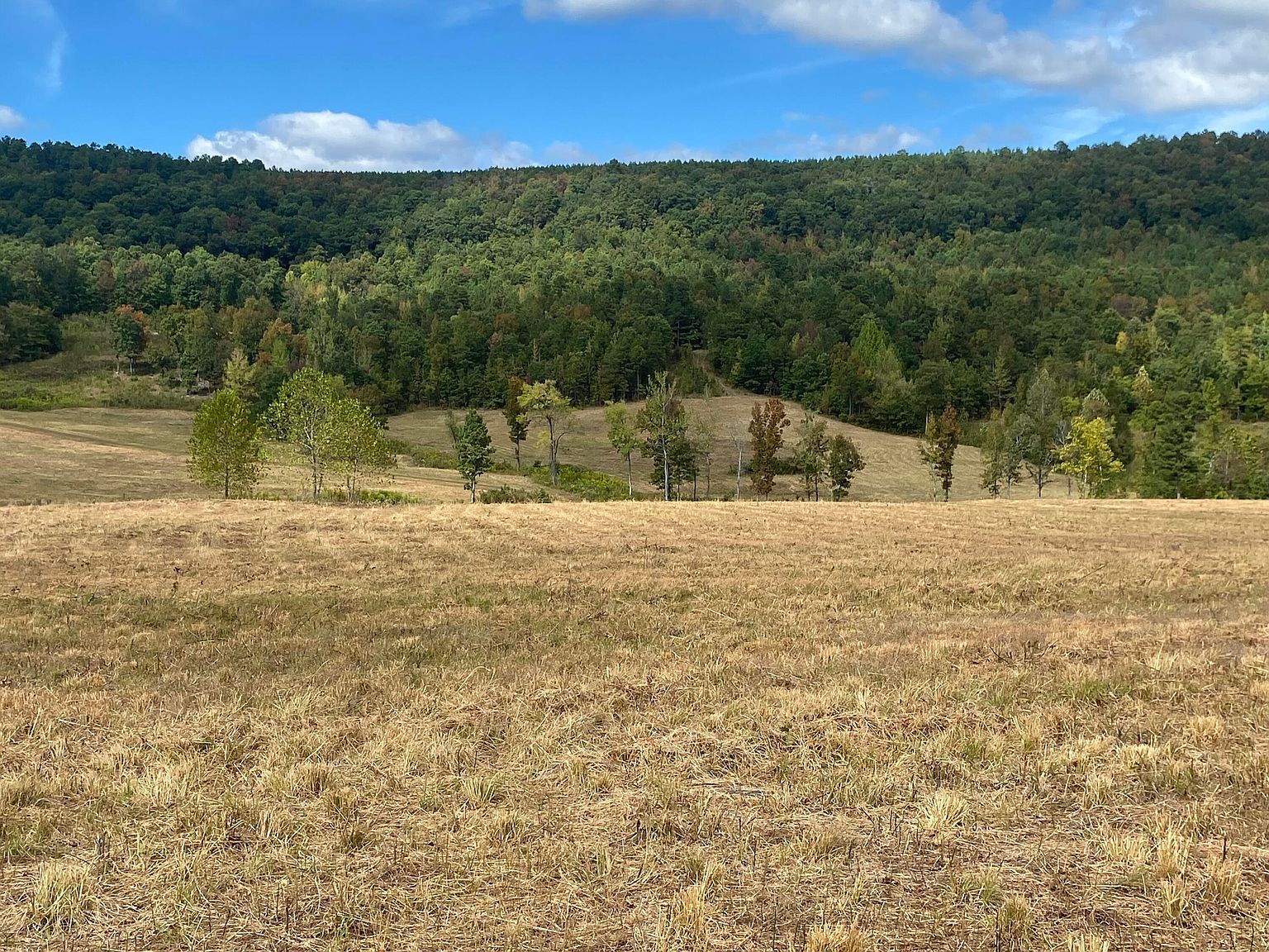 16810 State Route 7 N Dover, AR 72837 - Thumbnail 5