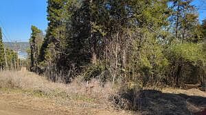 0 Ridge Rd Dardanelle, AR 72834 - Thumbnail 5