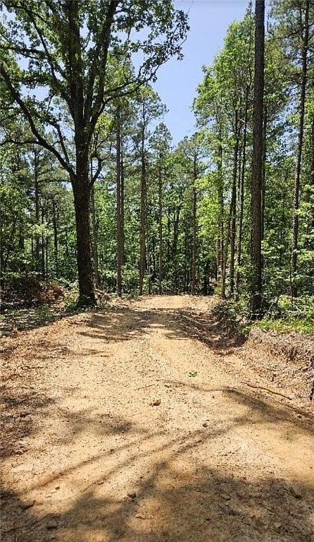 0 Bear Hollow Rd #20 Paris, AR 72855 - Thumbnail 5