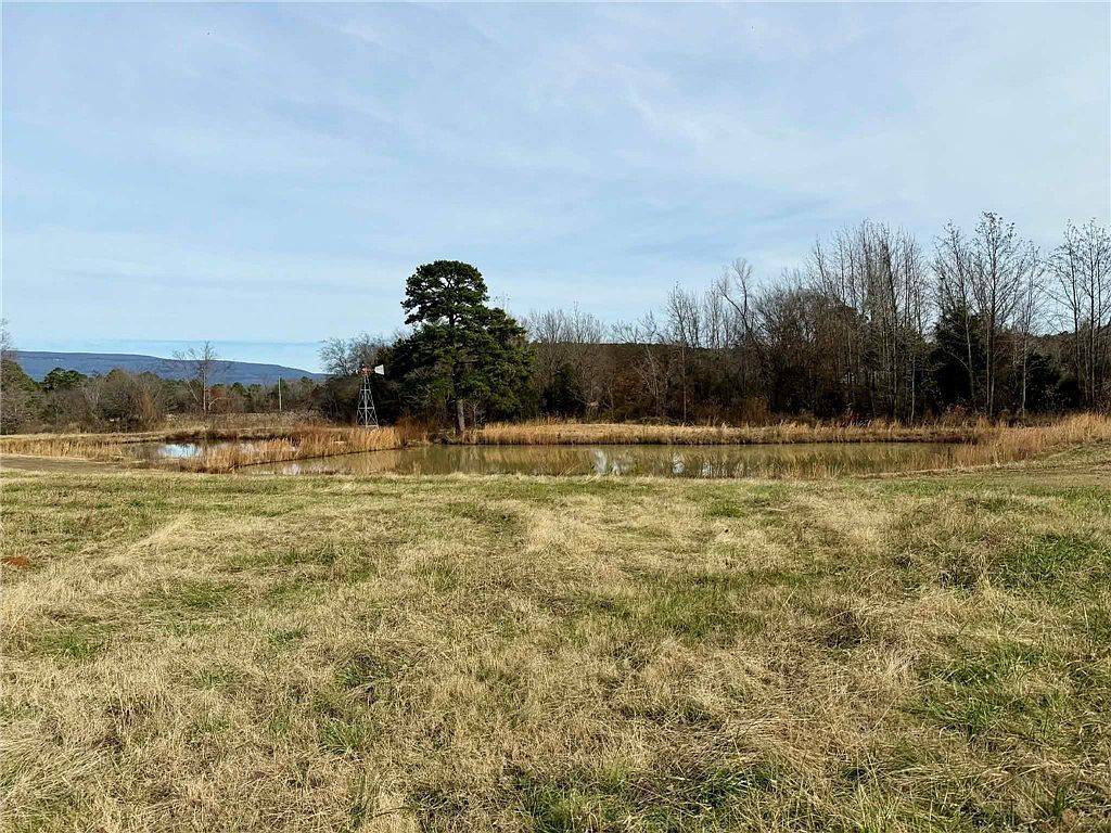 17430 Forest Rd #18 Havana, AR 72842 - Thumbnail 5