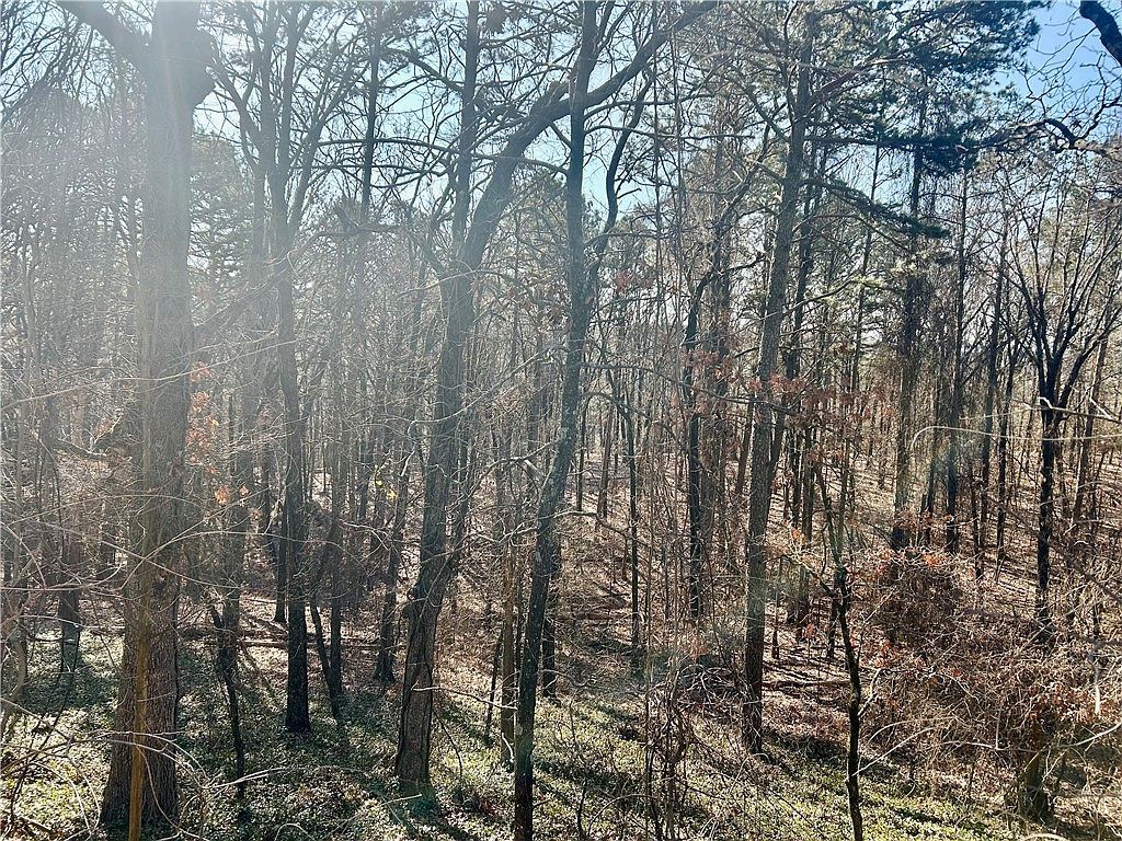 High Point Trl Clarksville, AR 72830 - Thumbnail 5