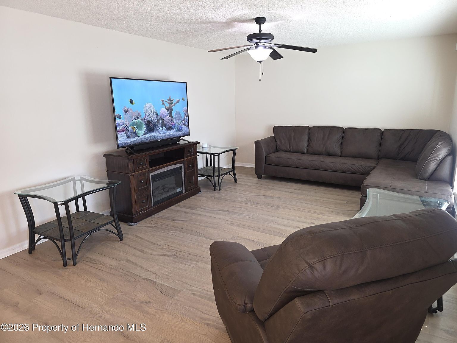 8388 Maltby Rd Spring Hill, FL 34606 - Thumbnail 5