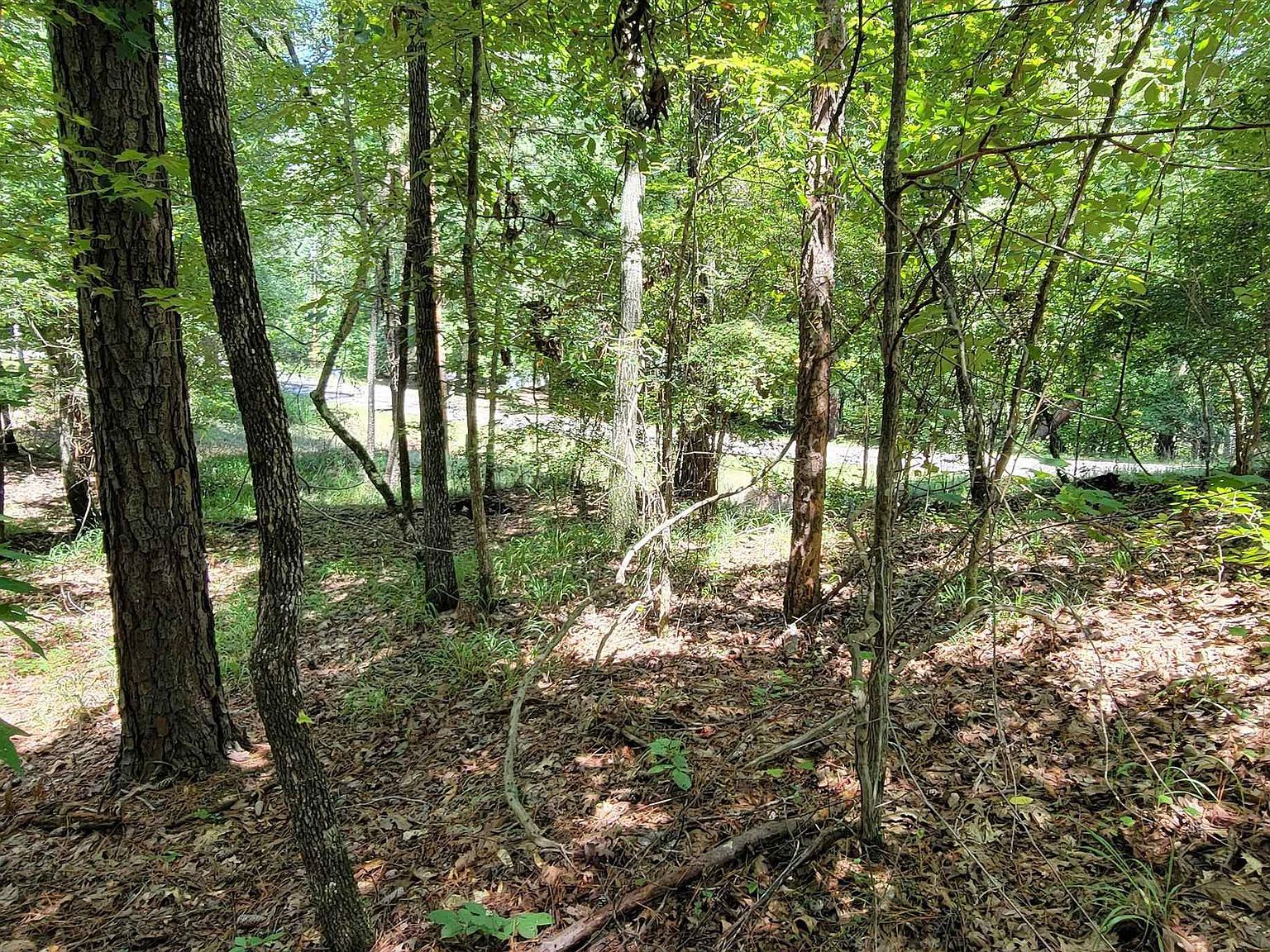 726 Marigold Rd #740 Sparta, GA 31087 - Thumbnail 5