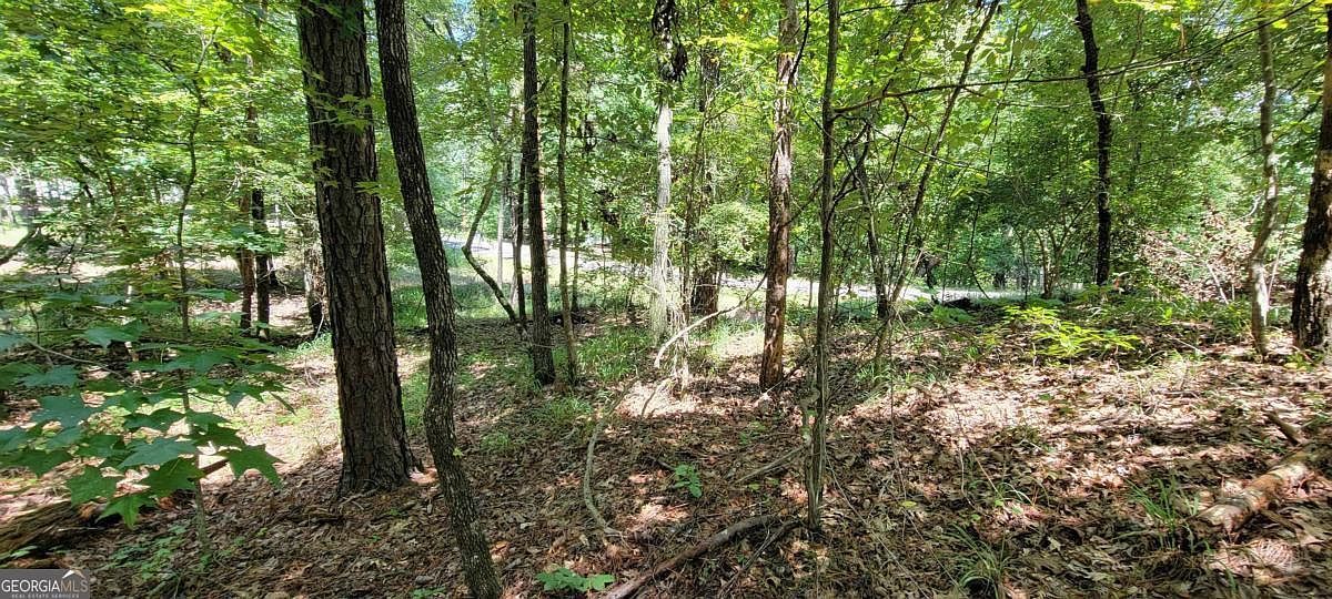 726 Marigold Rd Sparta, GA 31087 - Thumbnail 5