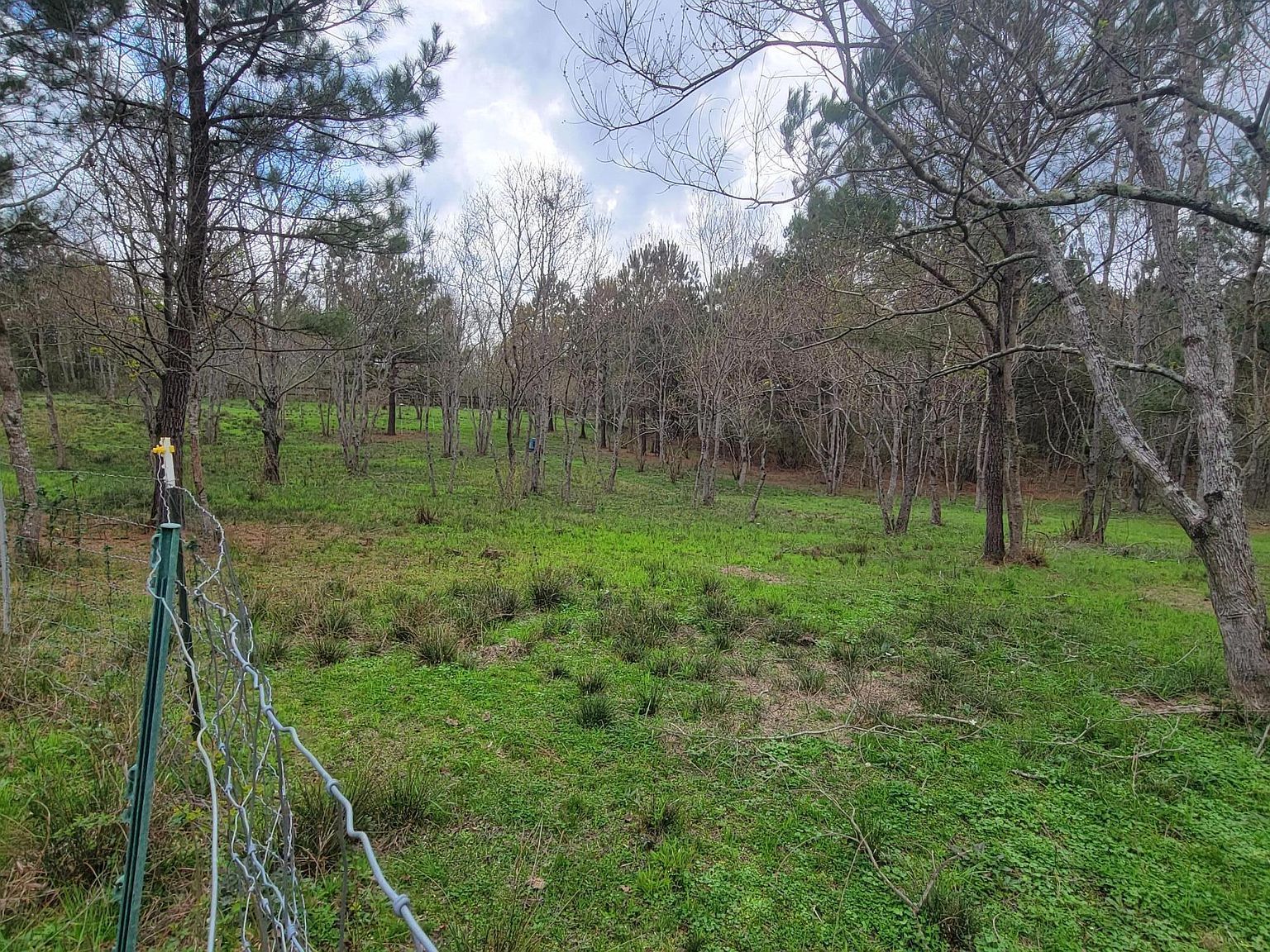 40 Lake Hillsdale Rd Lumberton, MS 39455 - Thumbnail 5