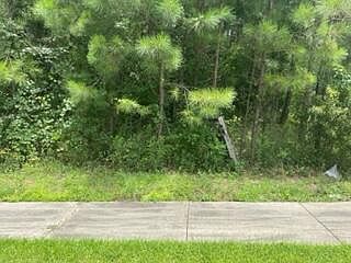 44 Baneberry Trce Hattiesburg, MS 39402 - Thumbnail 5