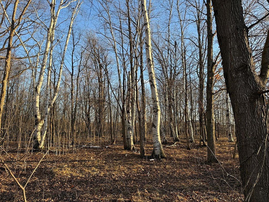 High Rd Brussels, WI 54204 - Thumbnail 5