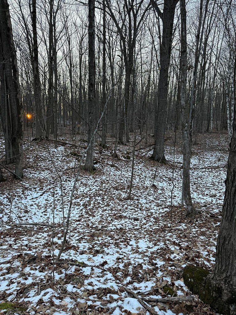 Orchard View Ln Brussels, WI 54204 - Thumbnail 5