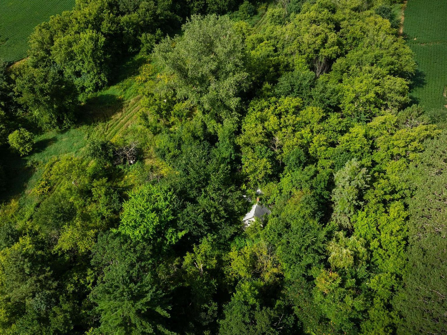 LOT 2 280th St, Glenwood City, WI, 54013 - Thumbnail 5