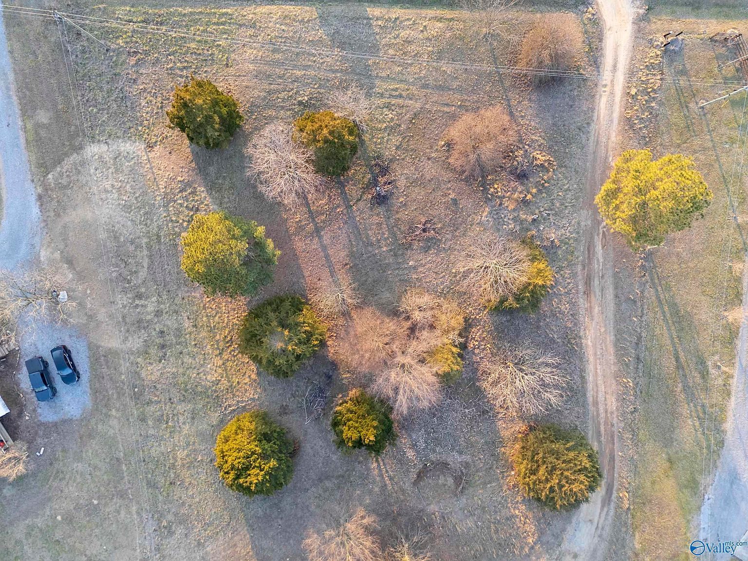 16 Acres Ford Ln Albertville, AL 35951 - Thumbnail 5