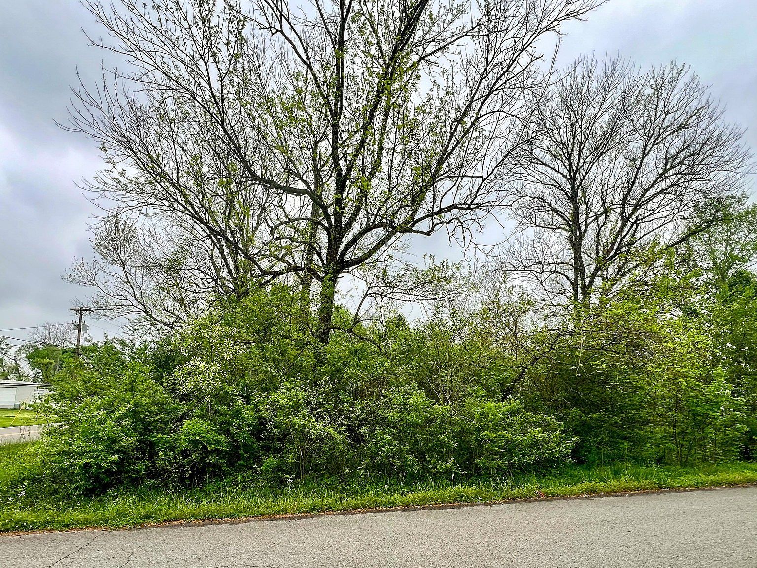 0 Lone Pine Dr Lebanon, TN 37087 - Thumbnail 5