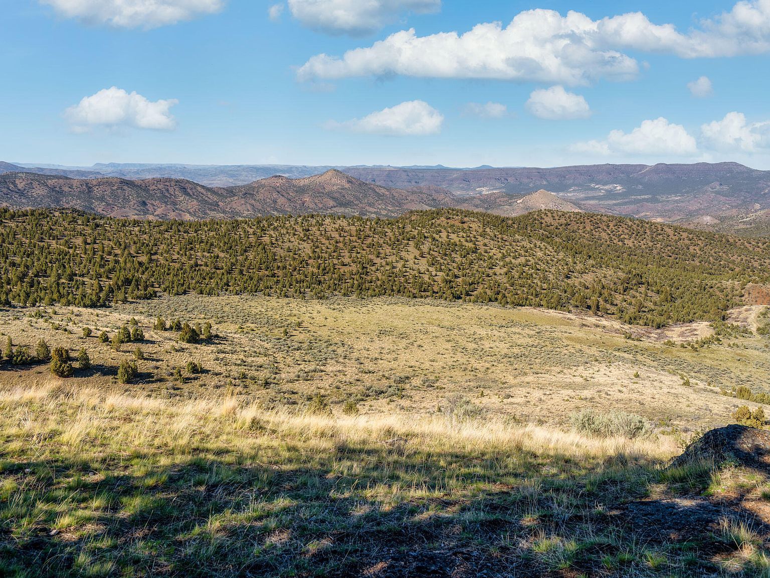 1755 Lost Coyote Ln Mitchell, OR 97750 - Thumbnail 5