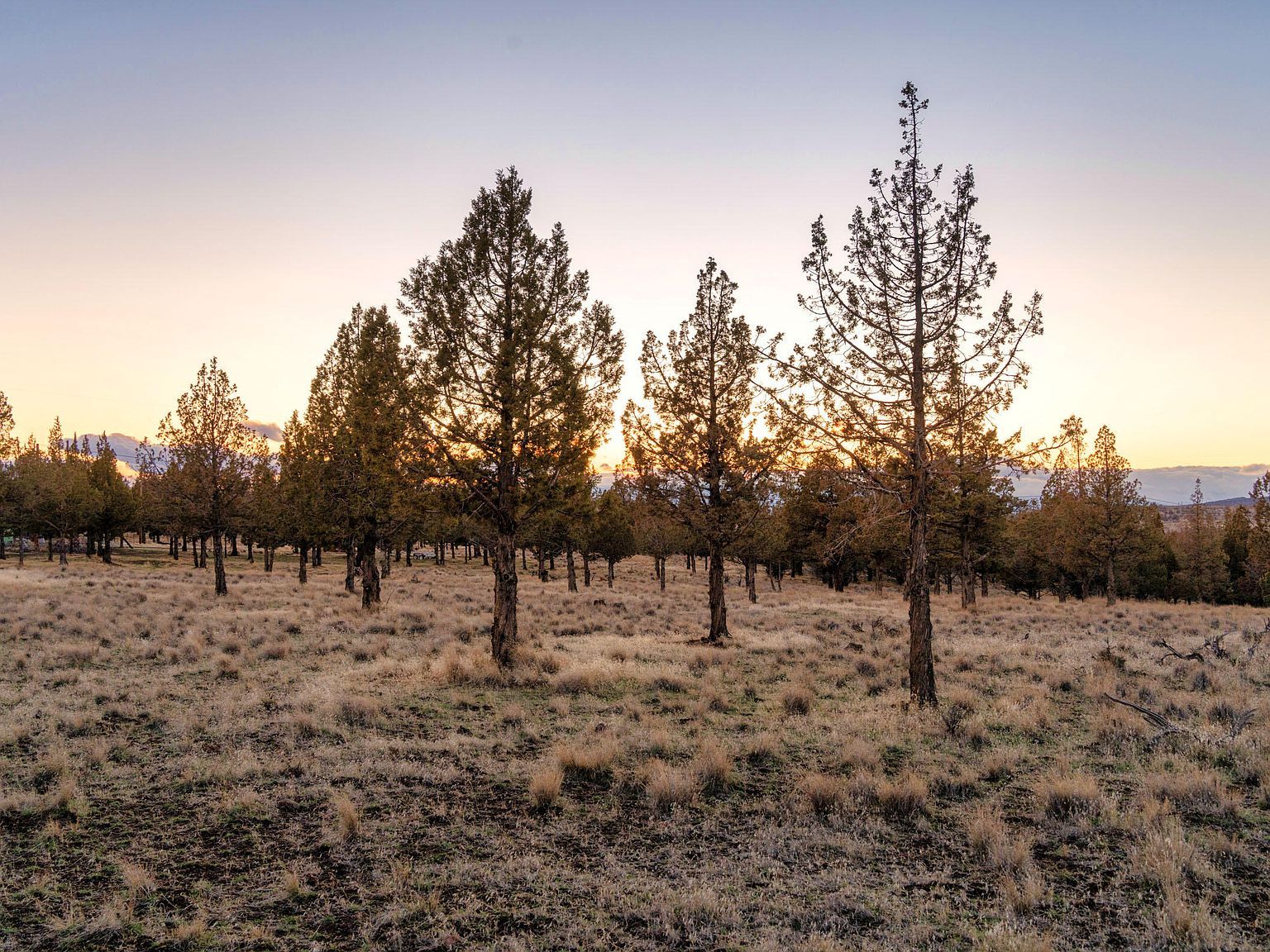 NW Panorama Vw Prineville, OR 97754 - Thumbnail 5