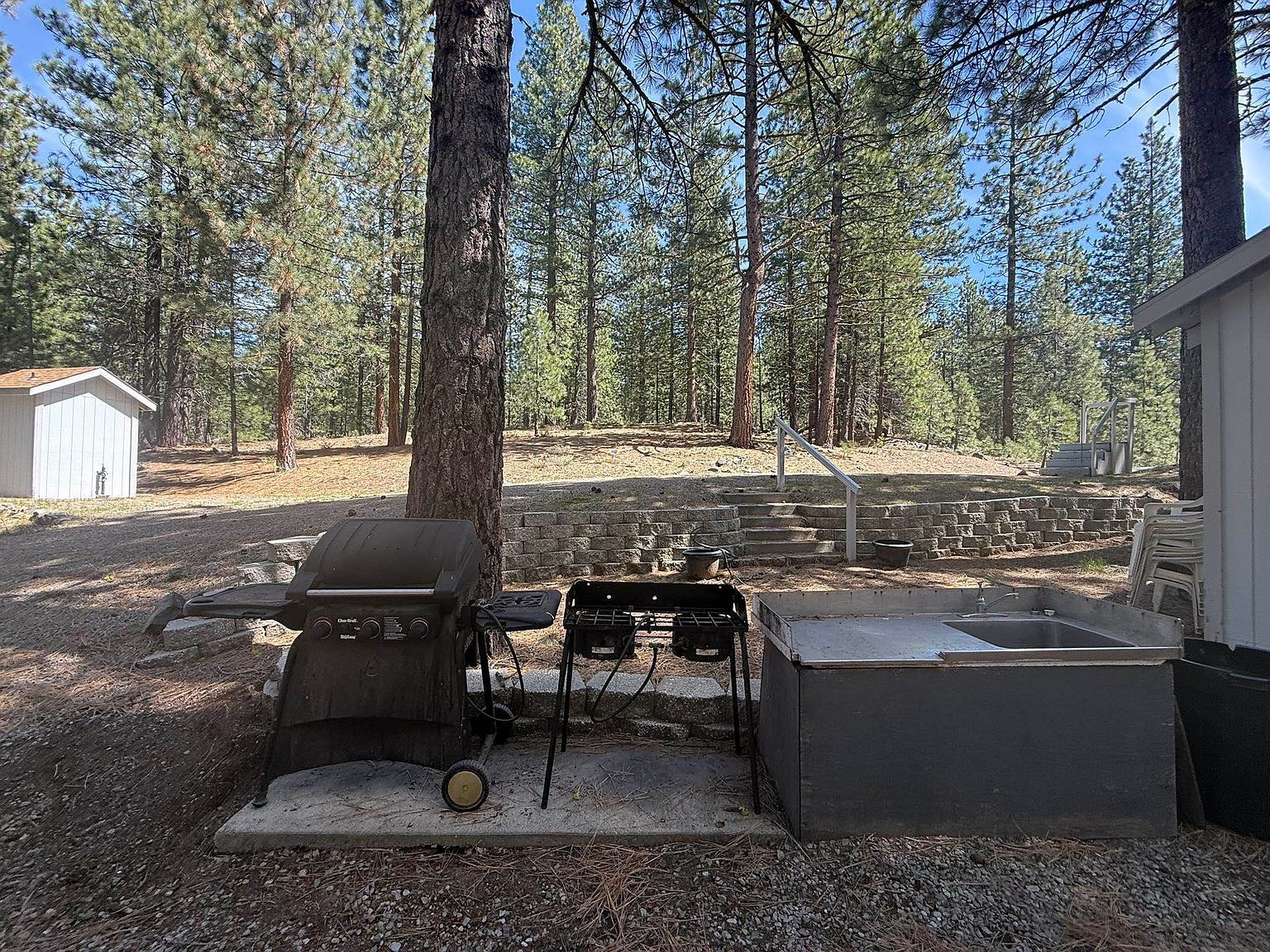 7315 Buckwheat Rd Portola, CA 96122 - Thumbnail 5