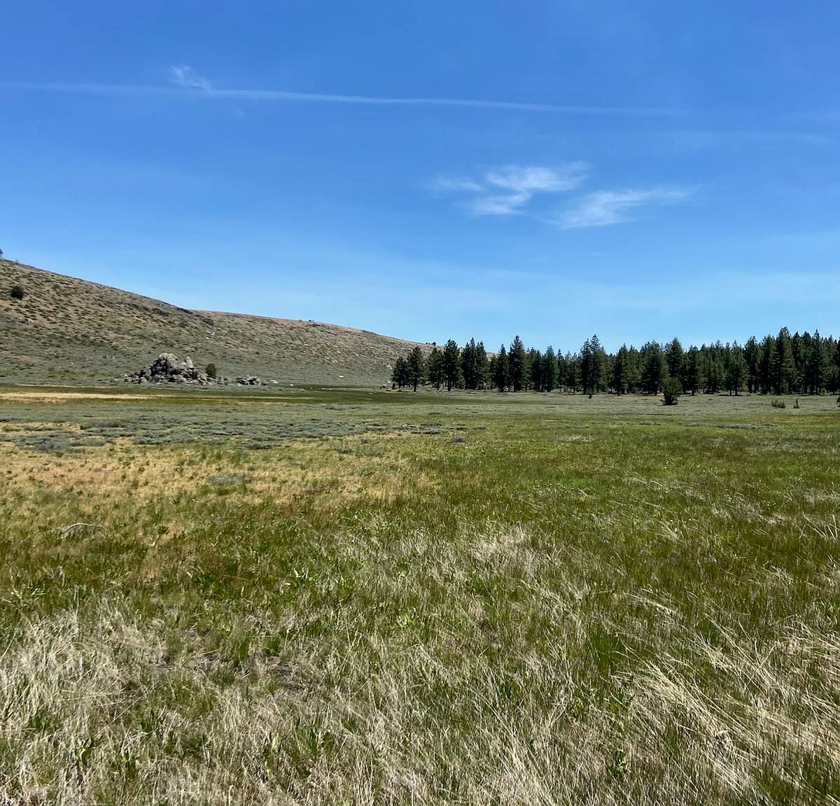 Doyle Grade Chilcoot, CA 96105 - Thumbnail 5