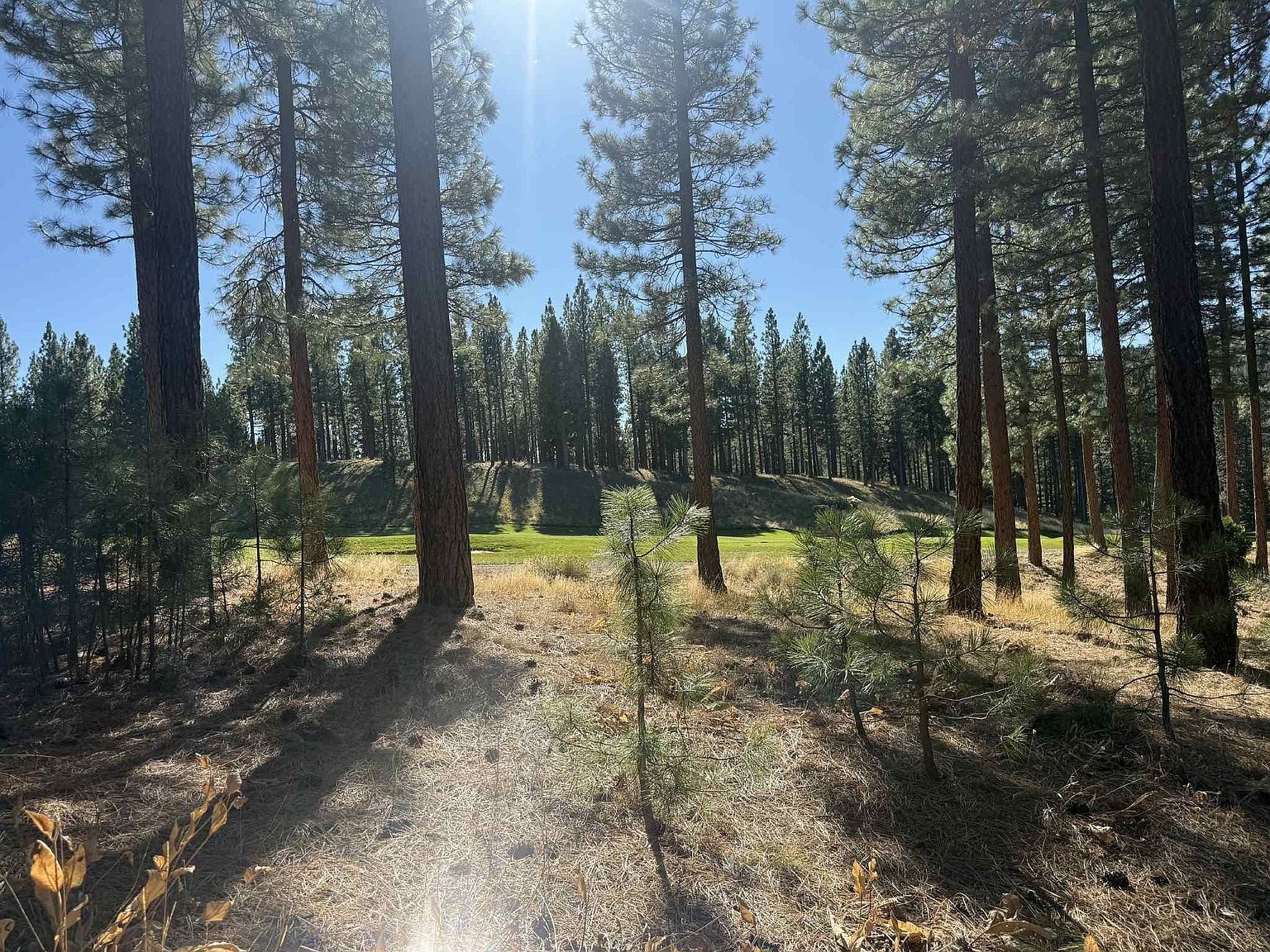 211 Bird Of Prey Ln Portola, CA 96122 - Thumbnail 5