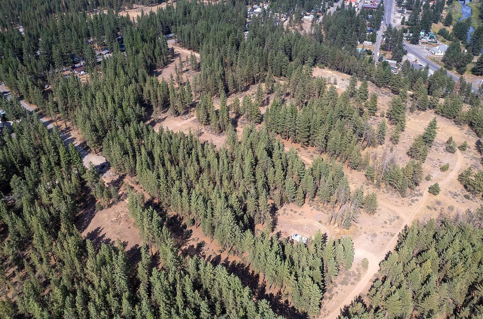 232 Cougar Way Portola, CA 96122 - Thumbnail 5