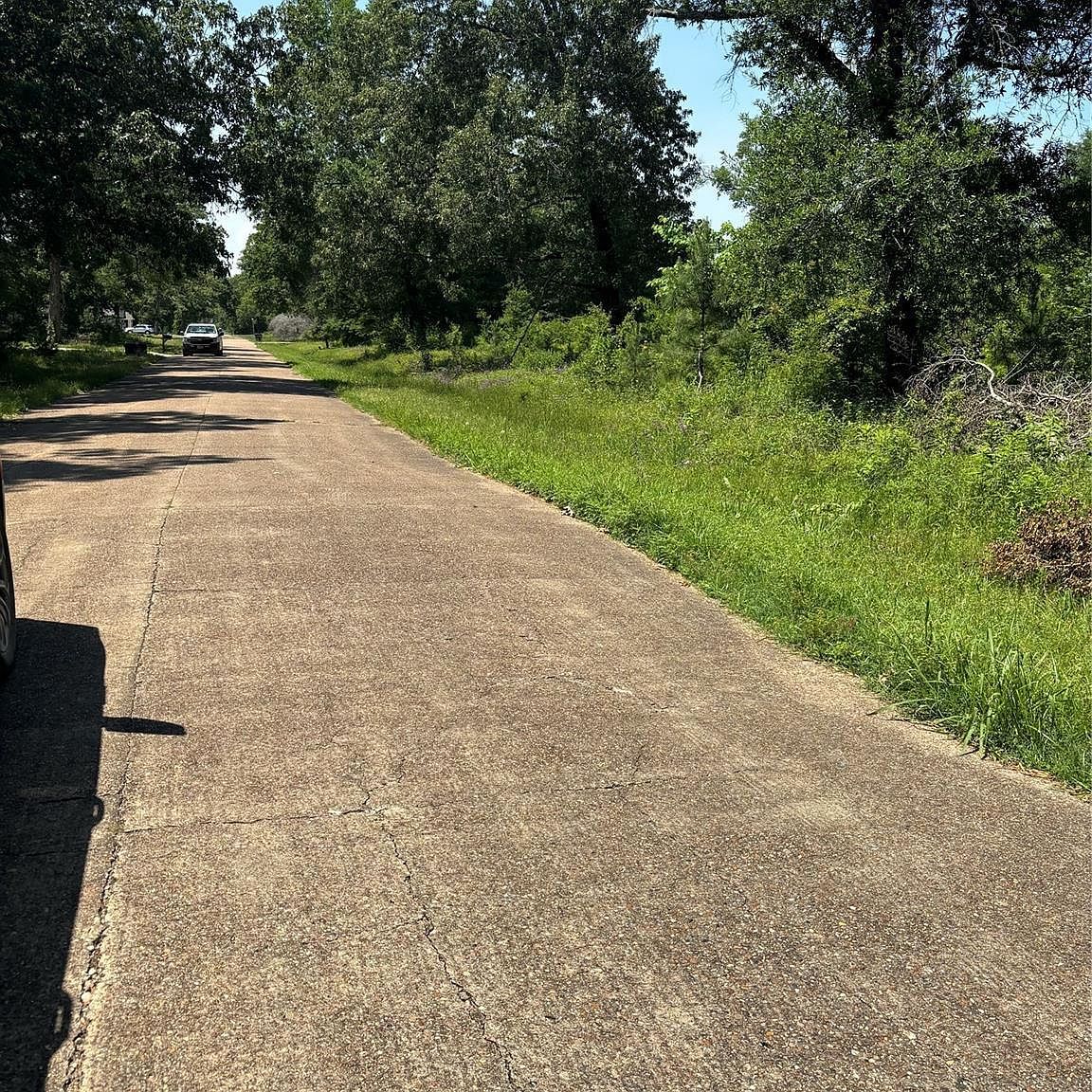 611 Bridgeview Dr Onalaska, TX 77360 - Thumbnail 5