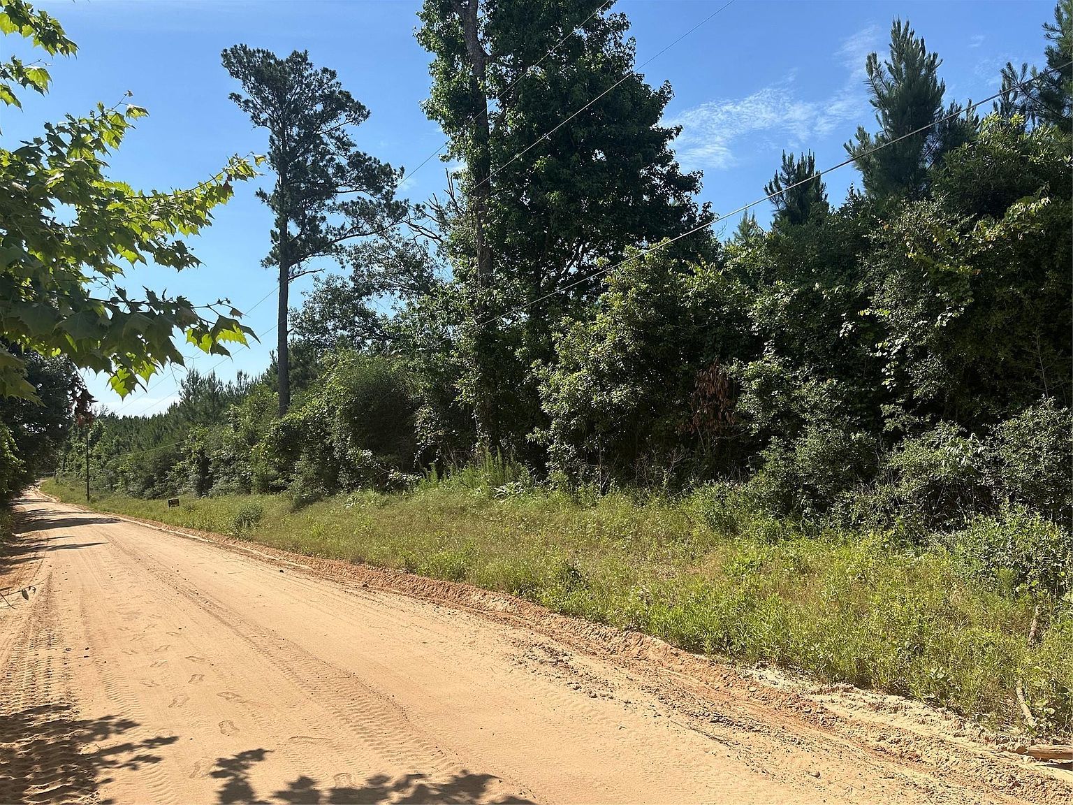 Oakdale Loop Livingston, TX 77351  | Land/Lot