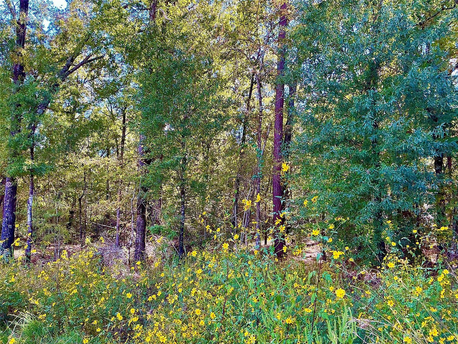 Wendy Way Livingston, TX 77351 - Thumbnail 5