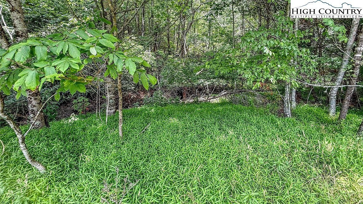 LOT 40 Creek Ct Jefferson, NC 28640 - Thumbnail 5