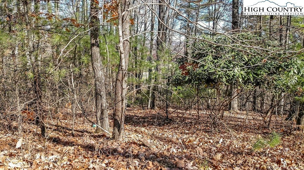 27 Highland Meadows Ct Fleetwood, NC 28626  | Land/Lot