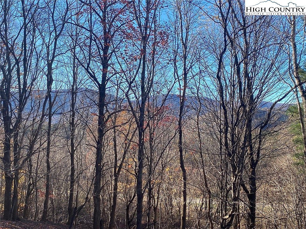 Tbd Clarence Lyall Rd West Jefferson, NC 28694  | Land/Lot