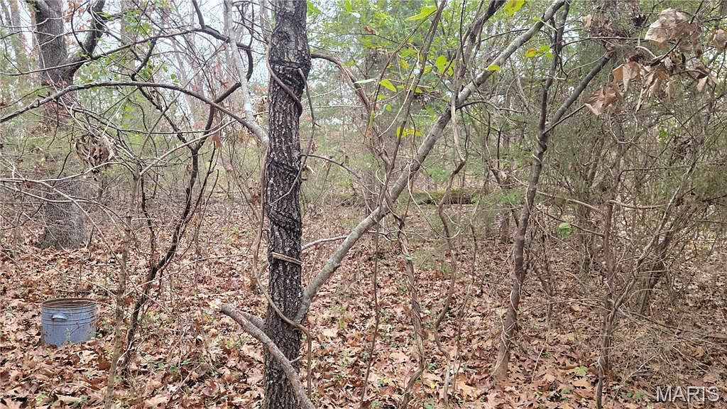 339 Oak Rd Cuba, MO 65453 - Thumbnail 5