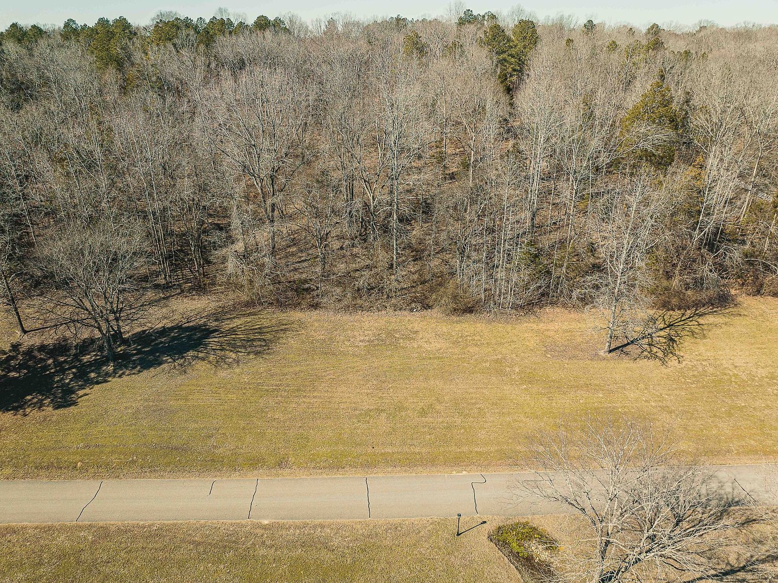 0 Creek Ridge Cv LOT 141 Parsons, TN 38363 - Thumbnail 5