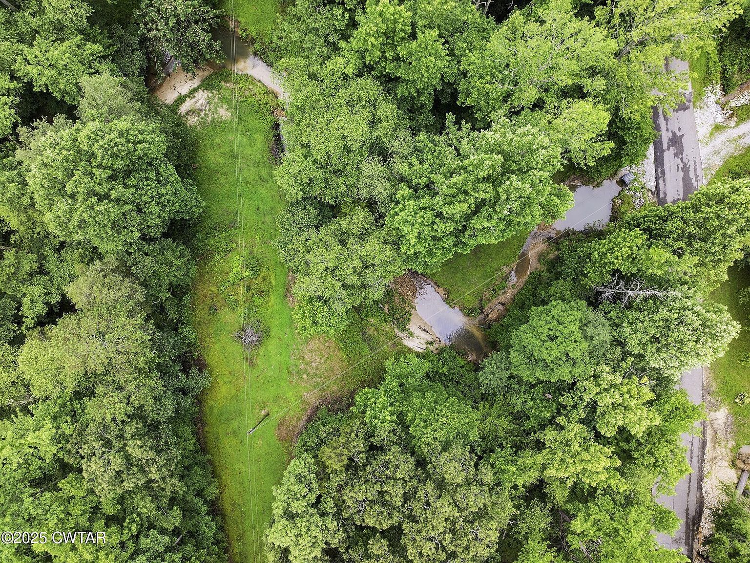 1303 Pugh Rd, Holladay, TN, 38341 - Thumbnail 5