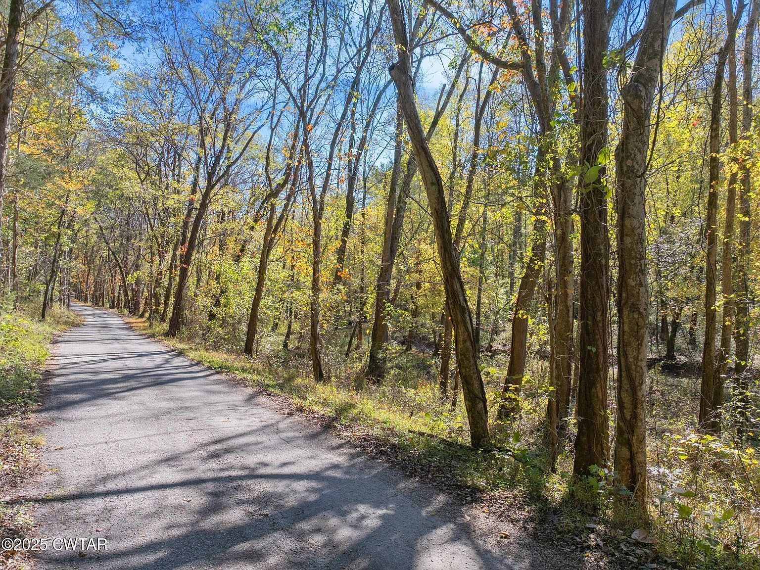 0 Dr Fisher Ln Decaturville, TN 38329 - Thumbnail 5