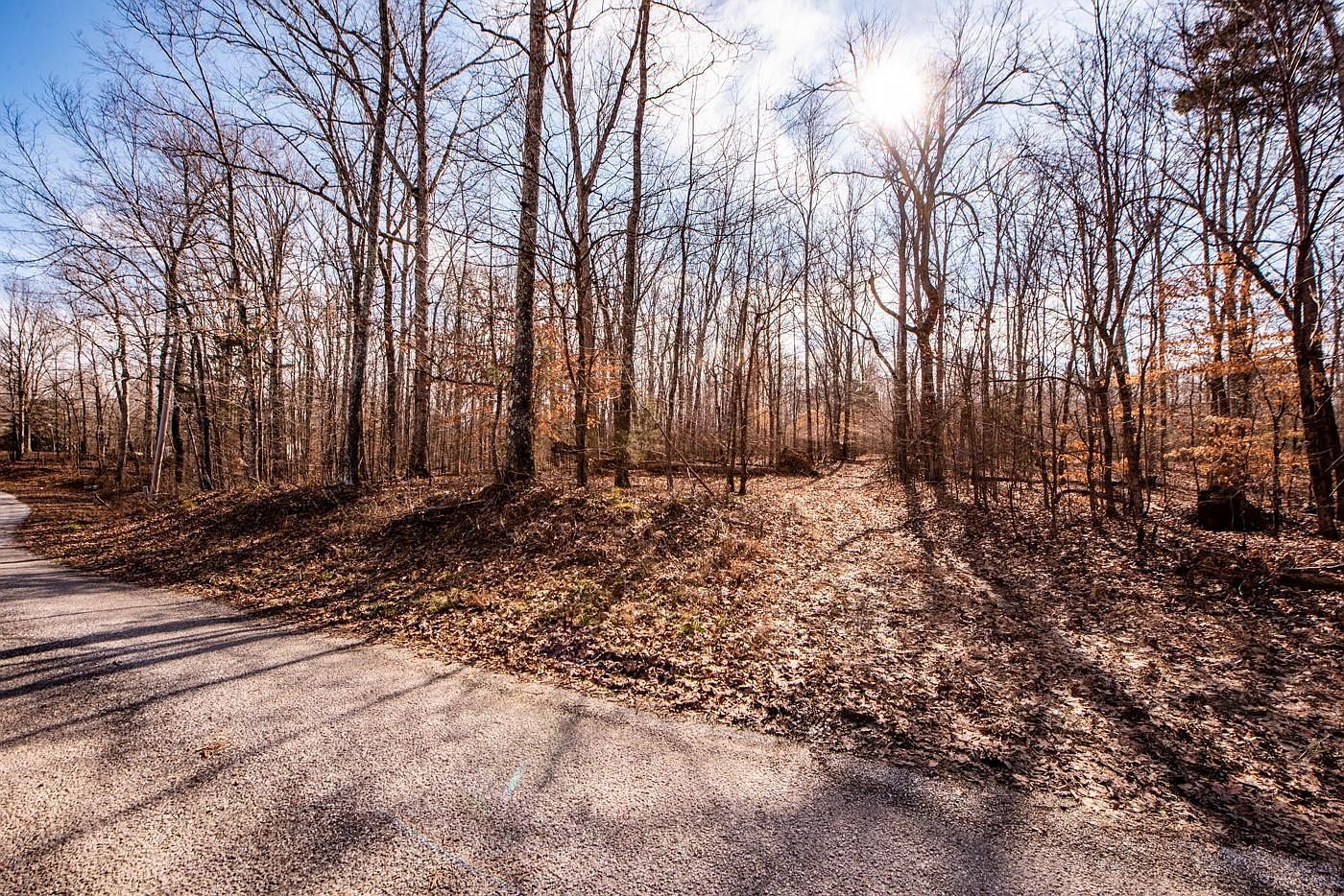 48 Berlin Dr Parsons, TN 38363  | Land/Lot