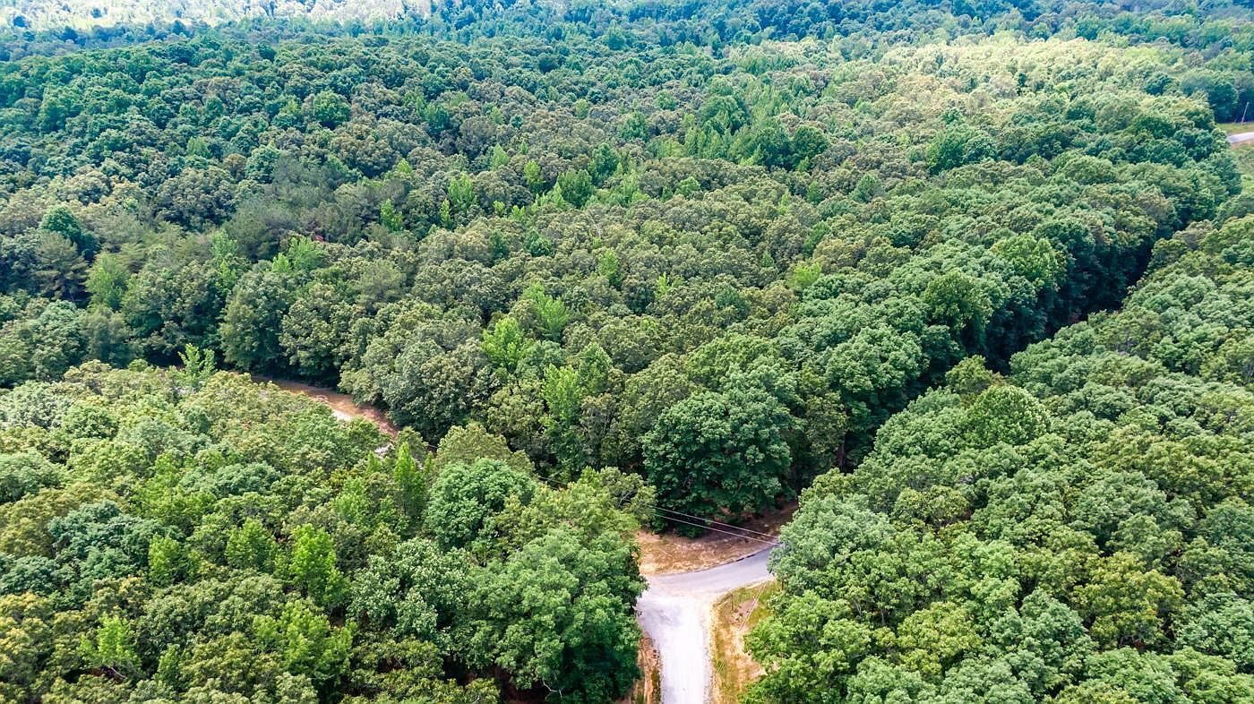 334 Logger Ln Cedar Grove, TN 38321 - Thumbnail 5