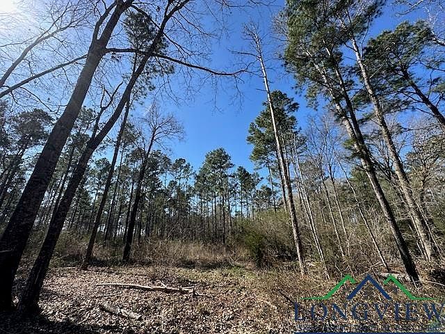 Fm 1662 W Laneville, TX 75667 - Thumbnail 5