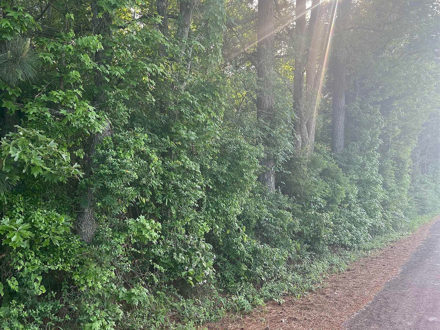 TRACT 3 County Road 477 W Henderson, TX 75654 - Thumbnail 5