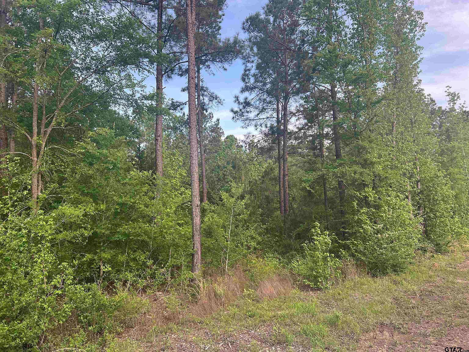 TRACT 2 County Road 477 W Henderson, TX 75654 - Thumbnail 5