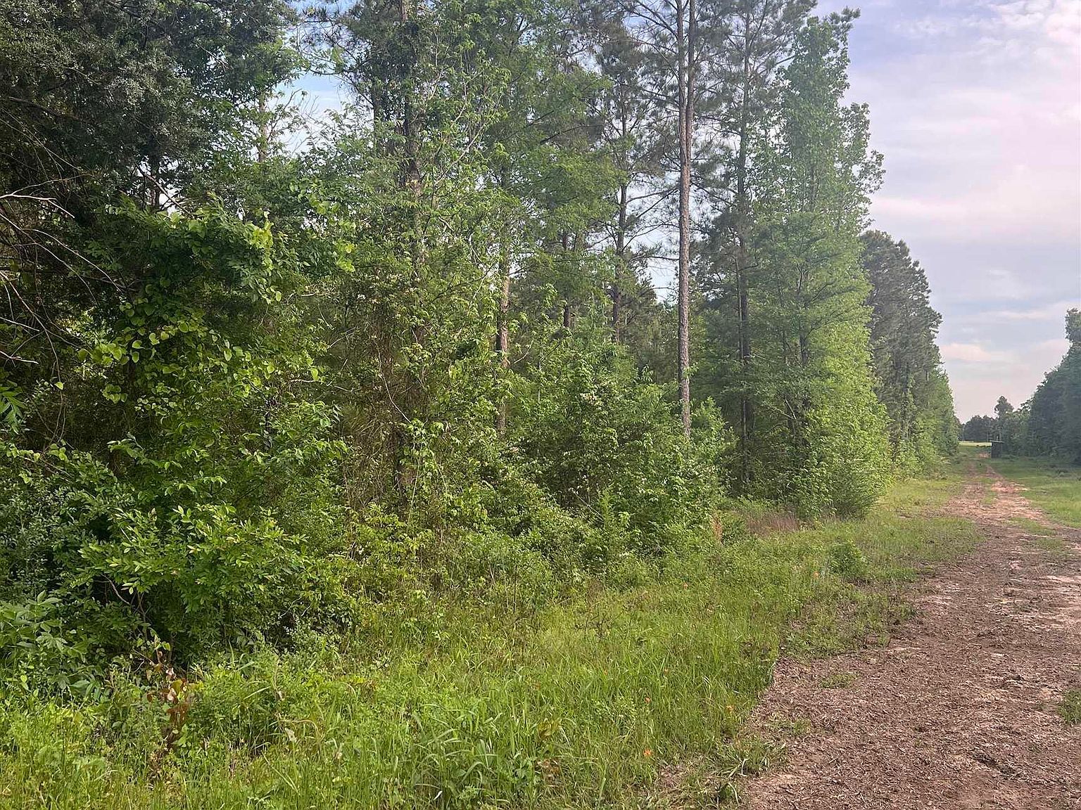 TRACT 1 County Road 477 W Henderson, TX 75654 - Thumbnail 5