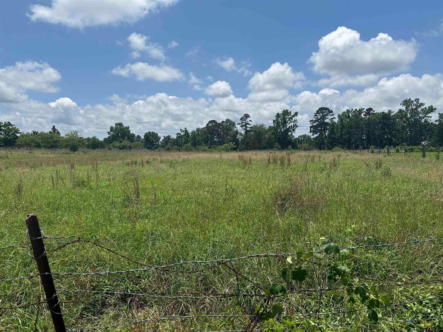 TRACT 3 County Road 2168 Troup, TX 75789 - Thumbnail 5