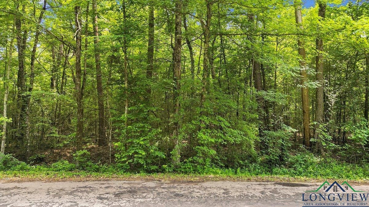 10 Fm Gary, TX 75643 - Thumbnail 5